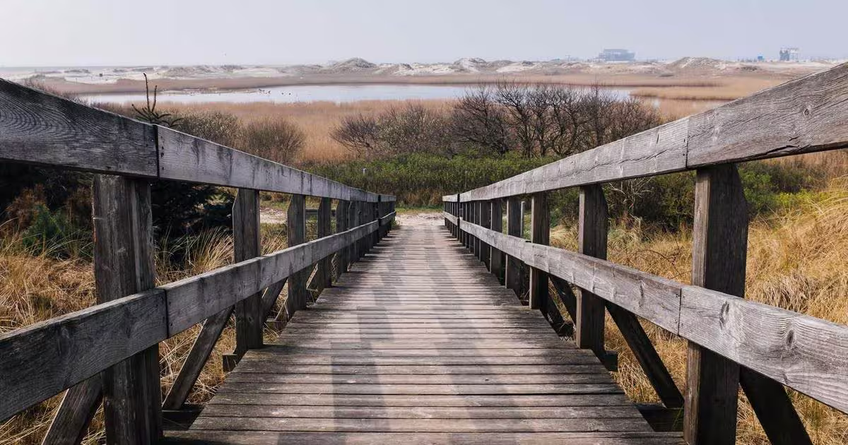 BigCommerce Development UK: Building Scalable E-commerce