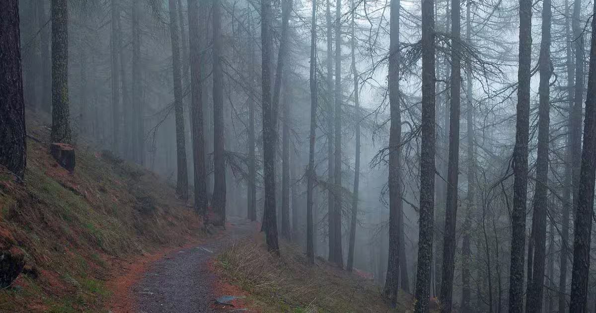 Choosing the Best IT Training Providers for Your Team